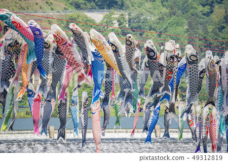 [Swimming carp streamer Sagami River] 49312819