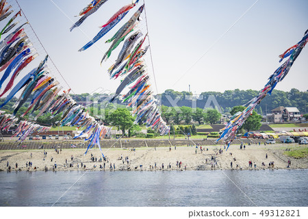 [相模河游泳鯉魚飄帶] 49312821