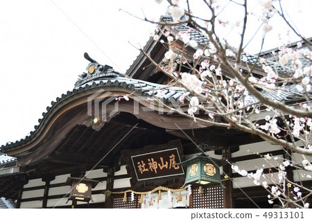 Oyama Shrine Kaga Kanazawa Oyama Shrine Kaga Kanazawa 49313101