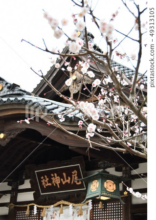 Oyama Shrine Kaga Kanazawa Oyama Shrine Kaga Kanazawa 49313105