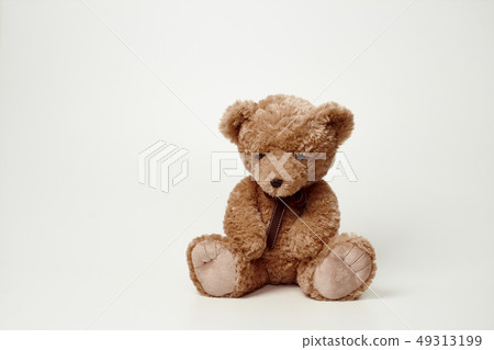 Teddy bear set on white background 49313199