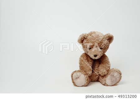在白色背景設置的玩具熊 49313200