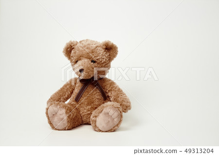 Teddy bear set on white background 49313204