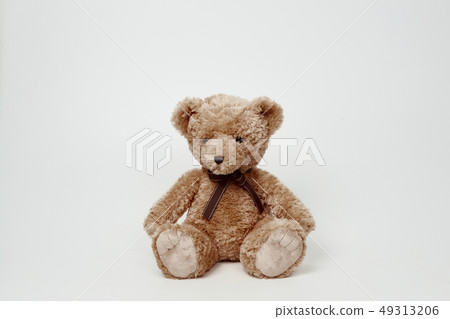 Teddy bear set on white background 49313206