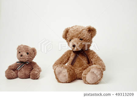 在白色背景設置的玩具熊 49313209