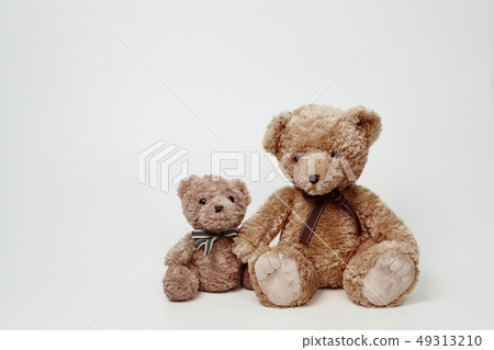 Teddy bear set on white background Teddy bear set on white background 49313210