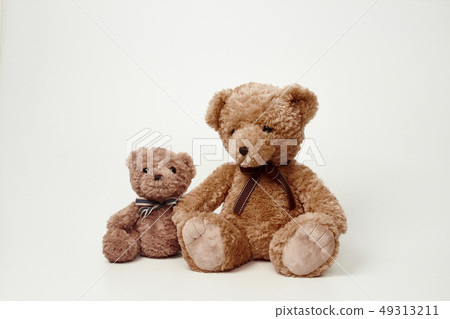 Teddy bear set on white background 49313211