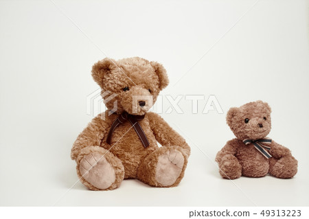 在白色背景設置的玩具熊 49313223