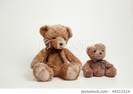 Teddy bear set on white background 49313224