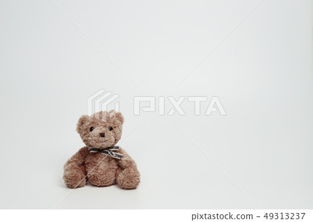 在白色背景設置的玩具熊 在白色背景設置的玩具熊 49313237
