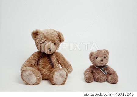 Teddy bear set on white background 49313246
