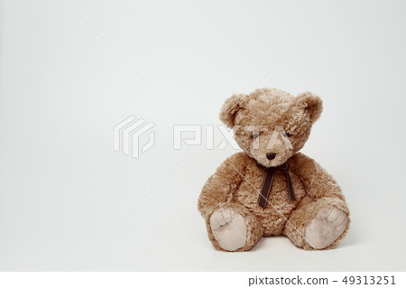 Teddy bear set on white background 49313251