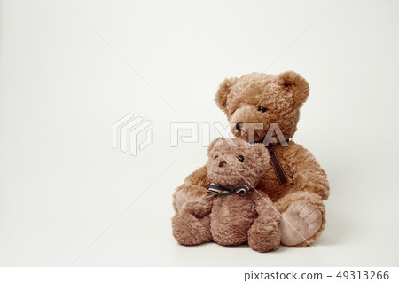 Teddy bear set on white background 49313266
