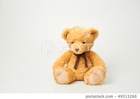 Teddy bear set on white background 49313268