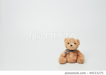 在白色背景設置的玩具熊 在白色背景設置的玩具熊 49313275