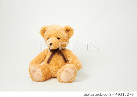 Teddy bear set on white background 49313276