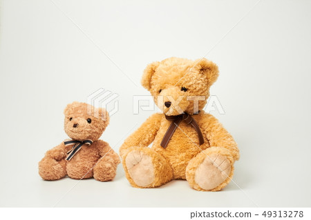 Teddy bear set on white background Teddy bear set on white background 49313278