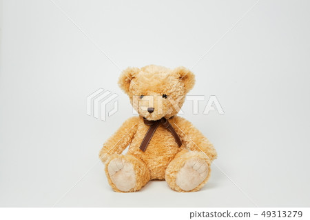 Teddy bear set on white background 49313279