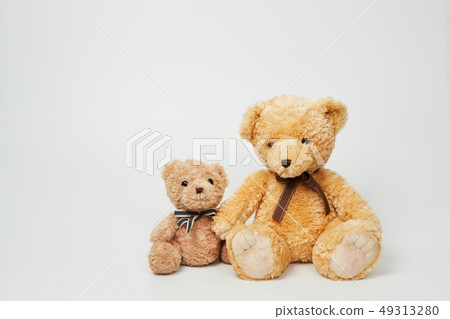 Teddy bear set on white background 49313280