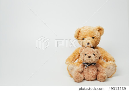 Teddy bear set on white background Teddy bear set on white background 49313289
