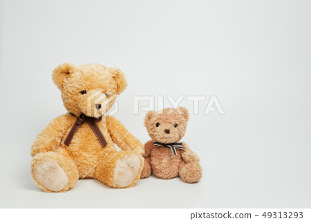 Teddy bear set on white background Teddy bear set on white background 49313293