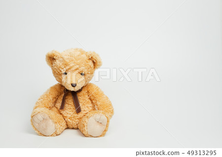 Teddy bear set on white background 49313295