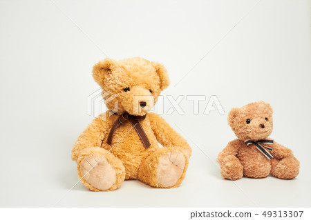 Teddy bear set on white background 49313307