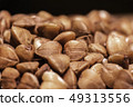 Grain buckwheat closeup 49313556