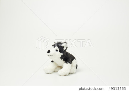 白色背景上的小狗娃娃 白色背景上的小狗娃娃 49313563