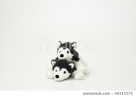 白色背景上的小狗娃娃 白色背景上的小狗娃娃 49313575