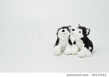 Puppy doll on white background 49313581