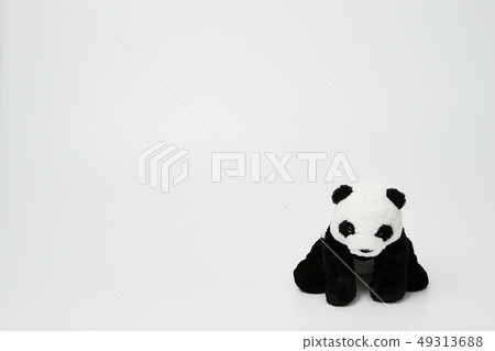 Panda bear sitting on a white background 49313688