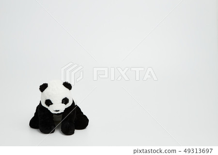 熊貓坐白色背景 49313697