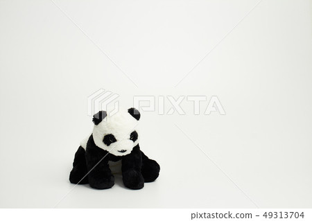 Panda bear sitting on a white background Panda bear sitting on a white background 49313704