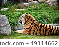 Amour Tiger 9 49314662