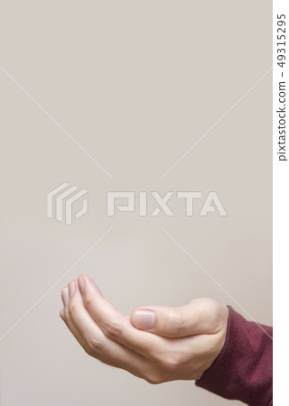 掌心 49315295