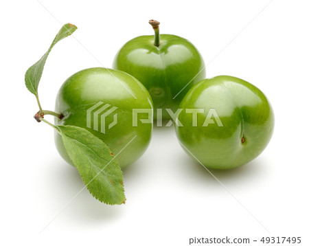 Fresh green plums with leaf isolated on white 49317495