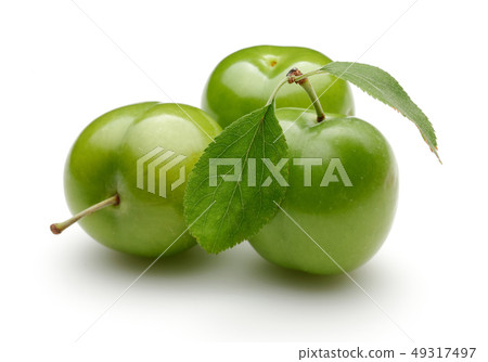 Fresh green plums with leaf isolated on white 49317497