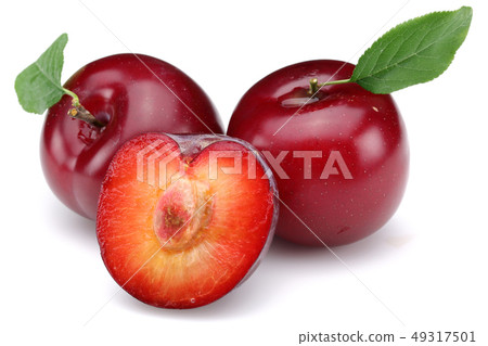 Red plums with leaf isolated on white 49317501