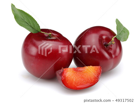 Red plums with leaf isolated on white 49317502