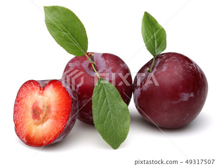 Red plums with leaf isolated on white 49317507