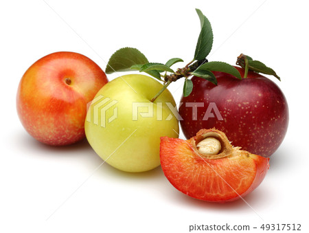 Red and yellow plums with leaves isolated on white Red and yellow plums with leaves isolated on white 49317512