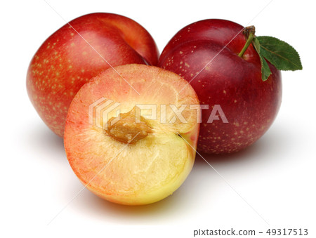 Red and yellow plums with leaves isolated on white Red and yellow plums with leaves isolated on white 49317513