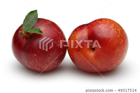 Red plums with leaf isolated on white Red plums with leaf isolated on white 49317514