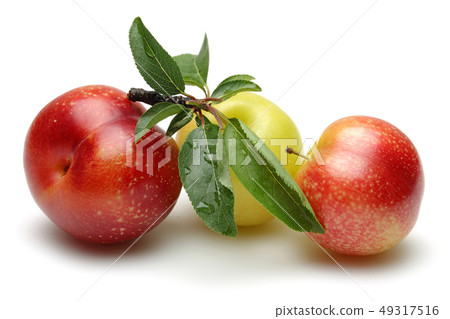 Red and yellow plums with leaves isolated on white 49317516