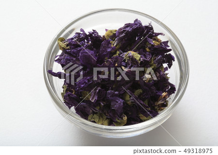 “草本”藍錦葵 “草本”藍錦葵 49318975