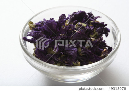“草本”藍錦葵 “草本”藍錦葵 49318976