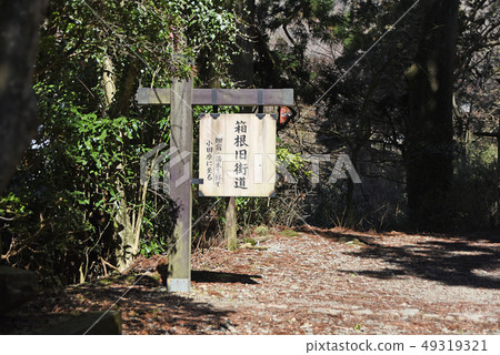 箱根老路 箱根老路 49319321