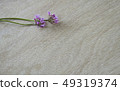 Background spring pink flower 49319374