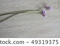 Background Spring Pink Flower 2 49319375